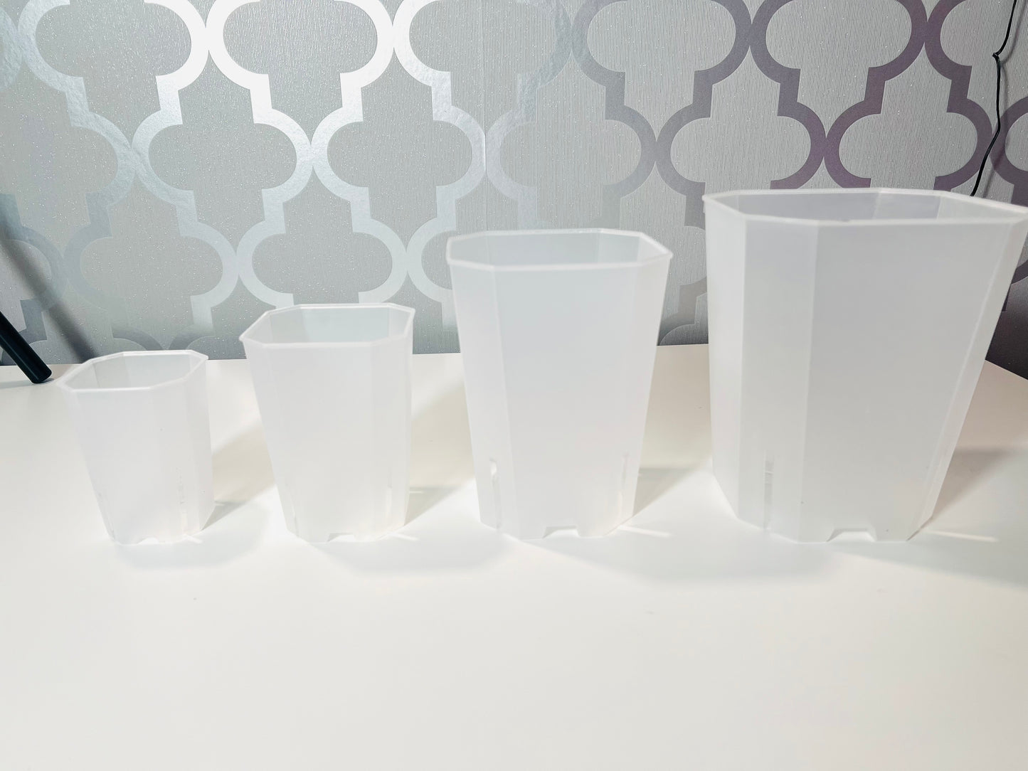 Tall Slit Square Transparent Plastic Pot